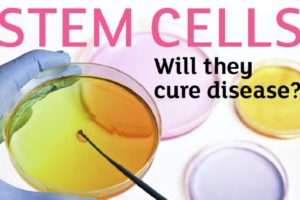 Weizmann UK Annual Lecture: Will Stem Cells Cure Disease?