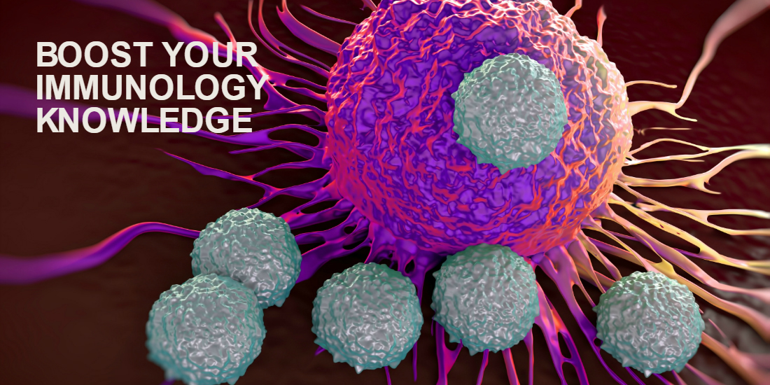 Immunology Image Sized For Web